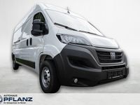 Gebraucht Fiat Ducato 140 PS (102 kW) 2024 Weiss Van
