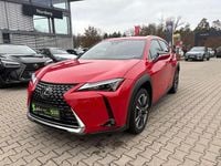 Gebraucht Lexus UX 250h 184 PS (135 kW) 2022 Solid red SUV