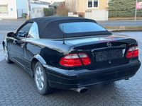 Gebraucht Mercedes CLK230 Avantgarde 197 PS (144 kW) 2001 Schwarz Cabrio
