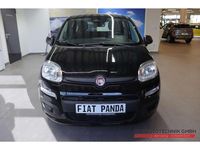 Gebraucht Fiat Panda 69 PS (50 kW) 2025 Schwarz Kleinwagen