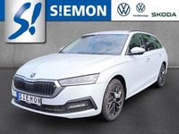 Gebraucht Skoda Octavia Ambition 150 PS (110 kW) 2024 Weiss Kombi
