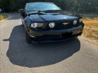 Gebraucht Ford Mustang GT Premium 417 PS (306 kW) 2010 Schwarz Cabrio