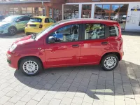 Neu Fiat Panda Icon 69 PS (50 kW) 2026 Rot Kleinwagen