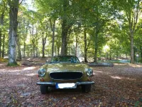 Gebraucht Volvo P1800 124 PS (91 kW) 1973 Gold Coupé