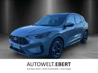 Gebraucht Ford Kuga ST-Line 184 PS (135 kW) 2025 Solar silver SUV