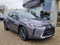 gebraucht Lexus UX 250h Launch Edition ACC FLA LM KAM LED Navi