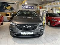 Gebraucht Opel Grandland X Edition 131 PS (96 kW) 2021 Grau metallic SUV