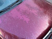 Gebraucht Opel Corsa 75 PS (55 kW) 2005 Violet Kleinwagen