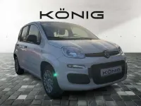Neu Fiat Panda 69 PS (50 kW) 2025 Gelato weiß dach schwarz (weis Kleinwagen