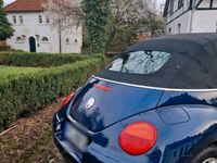 gebraucht VW Beetle 