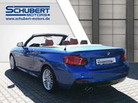 gebraucht BMW 230 i Cabrio (20 M Sport Sportpaket Navi Leder Soundsystem LED