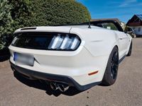 gebraucht Ford Mustang GT Cabrio Black Shadow V8 KW & Velocity