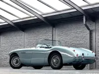 Gebraucht Austin Healey 100 90 PS (66 kW) 1956 Cabrio