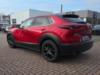 Gebraucht Mazda CX-30 Nagisa 140 PS (102 kW) 2025 Rot SUV