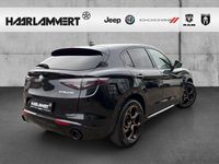 Neu Alfa Romeo Stelvio 280 PS (205 kW) 2025 Schwarz SUV