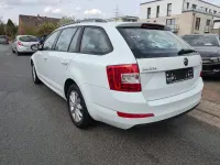 Usata Skoda Octavia Style 110 CV (80 kW) 2016 Bianco Utilitaria