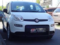 Occasion Fiat Panda 69 ch (50 kW) 2022 Blanc Citadine