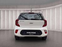Gebraucht Kia Picanto Attract 67 PS (49 kW) 2022 Weiß Kleinwagen