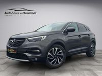 Gebraucht Opel Grandland X Dynamic 131 PS (96 kW) 2017 Grau SUV