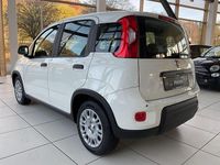 Neu Fiat Panda 69 PS (50 kW) 2025 Weiß Limousine