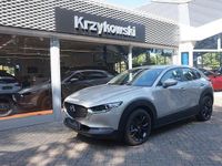 Gebraucht Mazda CX-30 Selection 150 PS (110 kW) 2023 Platinum quartz SUV