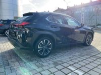 gebraucht Lexus UX 250h Luxury Line ACC FLA HUD 360 SpurW Leder