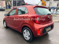 Gebraucht Kia Picanto Edition 7 67 PS (49 kW) 2020 Pop orange Kleinwagen