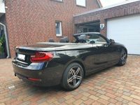 gebraucht BMW 220 i Cabrio Sport Line Autom. Leder Navi