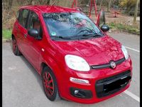 Gebraucht Fiat Panda Easy 69 PS (50 kW) 2016 Rot Kleinwagen