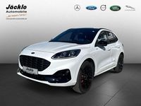 Gebraucht Ford Kuga ST-Line X 152 PS (111 kW) 2024 Frostweiß SUV