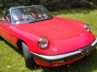 Gebraucht Alfa Romeo Spider 103 PS (75 kW) 1984 Rot Cabrio
