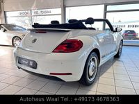 Gebraucht VW Beetle Cabriolet Design 140 PS (102 kW) 2014 Weiß Cabrio