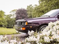 Gebraucht Audi Quattro 200 PS (147 kW) 1982 Violett Coupé
