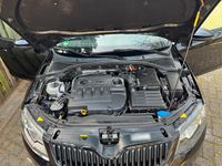 Gebraucht Skoda Octavia 105 PS (77 kW) 2014 Schwarz Kleinwagen