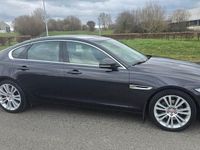 Gebraucht Jaguar XF Pure 163 PS (119 kW) 2016 Blau Limousine
