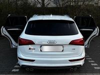 Gebraucht Audi SQ5 Sport 360 PS (264 kW) 2017 Weiß SUV