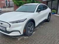 Gebraucht Ford Mustang Mach-E Basis 197 kW (269 PS) 2023 Starweiß metallic SUV