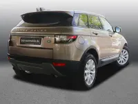 Usata Land Rover Range Rover evoque SE 150 CV (110 kW) 2017 Beige SUV