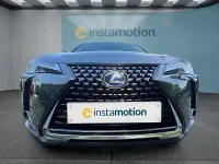 Gebraucht Lexus UX 250h 184 PS (135 kW) 2022 Grün SUV