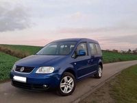 Usata VW Caddy 102 CV (75 kW) 2009 Blu Monovolume
