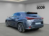 Gebraucht Lexus UX 250h 184 PS (135 kW) 2024 Grau SUV