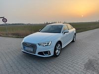 Gebraucht Audi A4 Comfort 150 PS (110 kW) 2019 Weiß Limousine