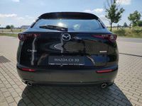 Gebraucht Mazda CX-30 Exclusive 122 PS (89 kW) 2024 Blau SUV