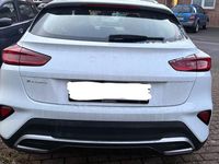 Gebraucht Kia XCeed 120 PS (88 kW) 2023 Weiß SUV