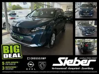 Gebraucht Peugeot 3008 Active 136 PS (100 kW) 2024 Lackierung blau celebes/metall SUV