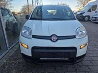 Gebraucht Fiat Panda 69 PS (50 kW) 2023 Bianco gelato Kleinwagen