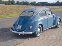 gebraucht VW Käfer 