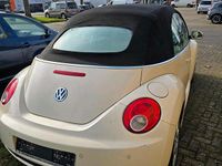 Gebraucht VW Golf 105 PS (77 kW) 2006 Beige Cabrio