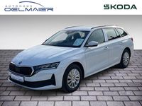 Neu Skoda Octavia Essence 116 PS (85 kW) 2025 Weiß Kombi