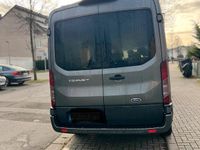 Gebraucht Ford Transit 130 PS (95 kW) 2020 Grau Van / Kleinbus